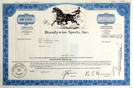 «Brandywine Sports, Inc., 1987»